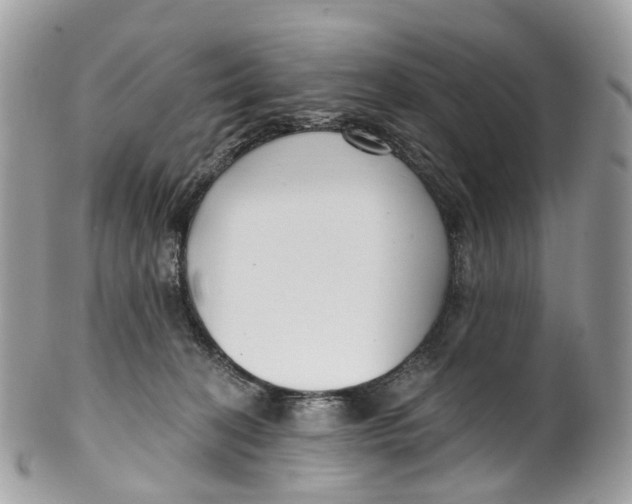 X0000099520274200806051218