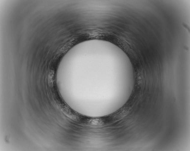 X0000099520275200806051218