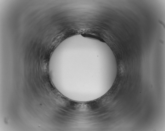 X0000099520276200806051218