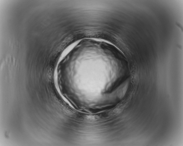 X0000099520277200806051218