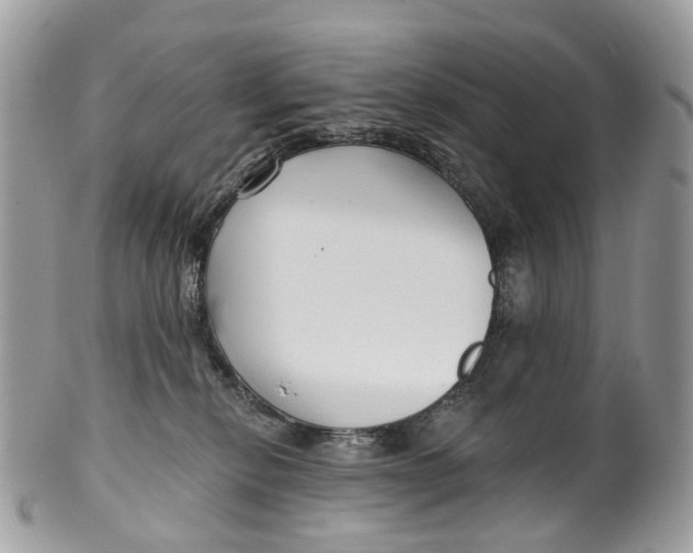 X0000099520278200806051218