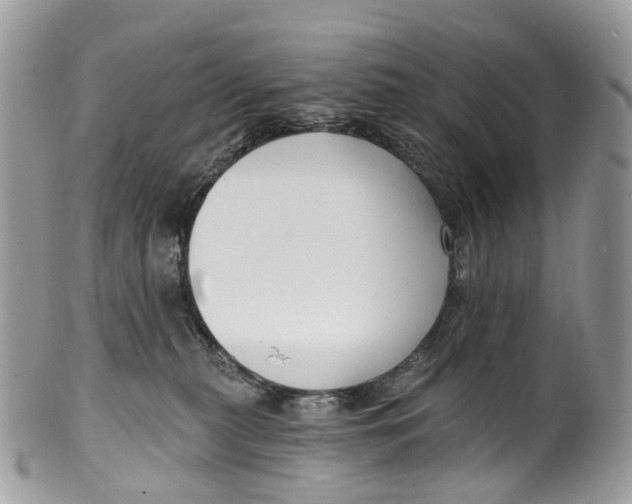 X0000099520279200806051218