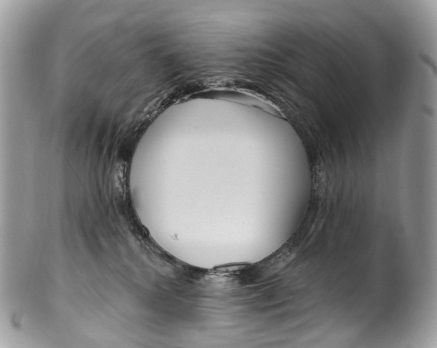 X0000099520280200806051218