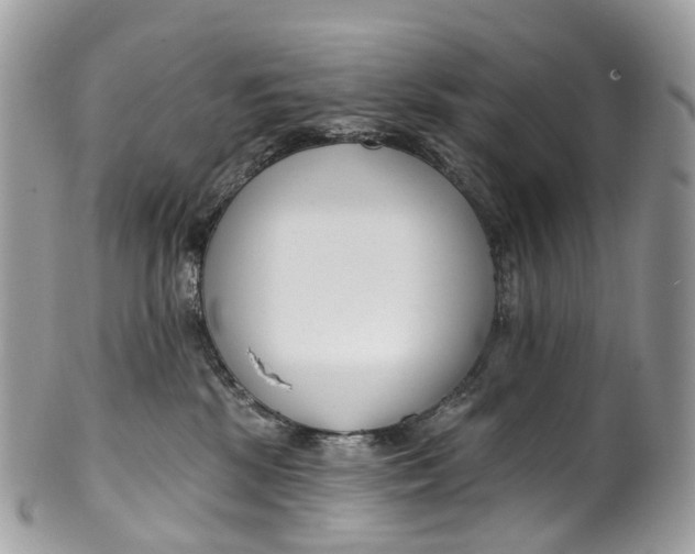 X0000099520281200806051218