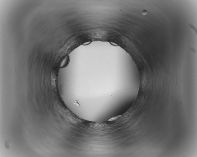 X0000099520282200806051218