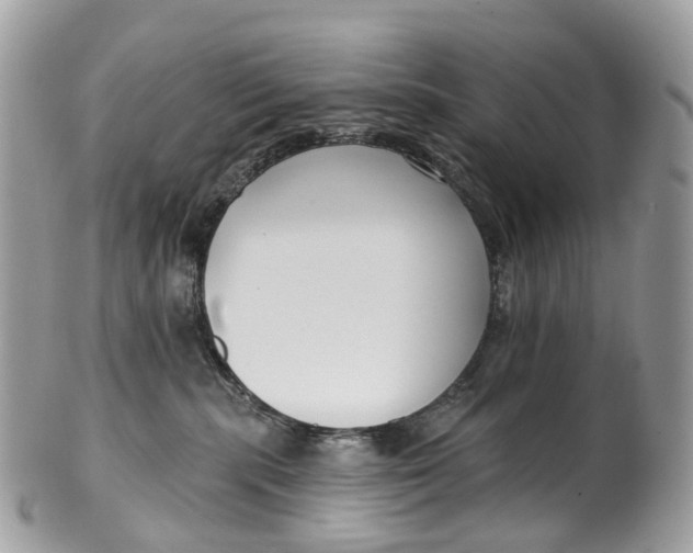 X0000099520283200806051218