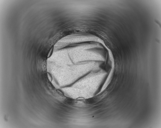 X0000099520285200806051218