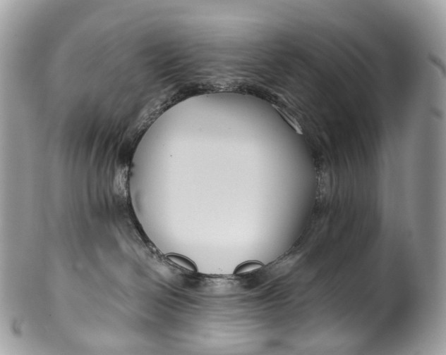 X0000099520286200806051218