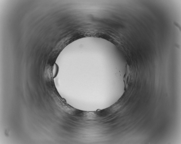 X0000099520287200806051218