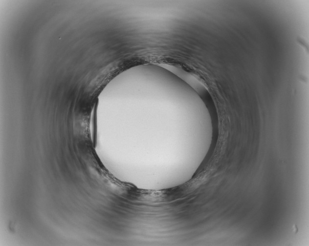 X0000099520288200806051218