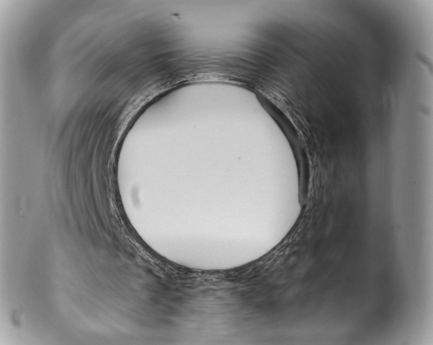 X0000099520289200806051218