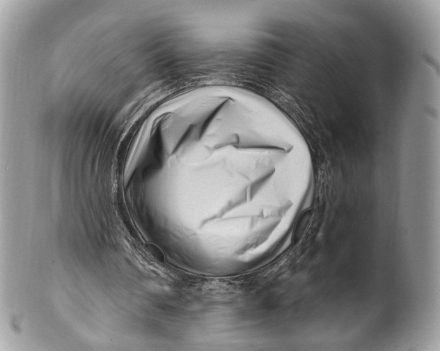 X0000099520290200806051218