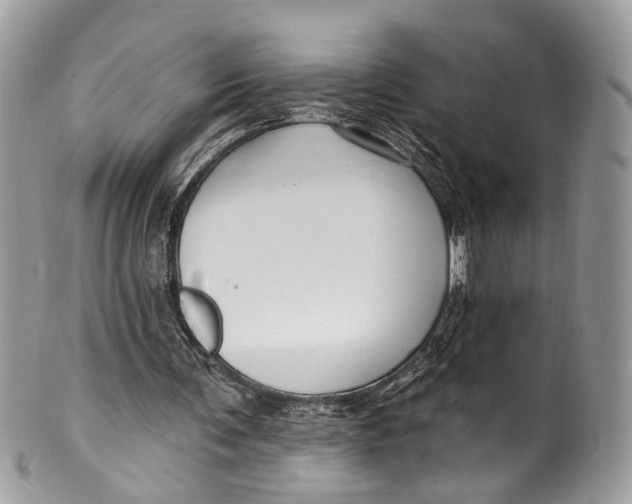 X0000099520291200806051218