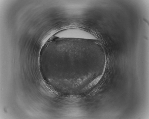 X0000099520292200806051218