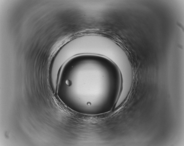 X0000099520293200806051218