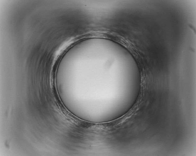 X0000099520294200806051218