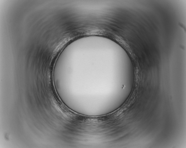 X0000099520298200806051217