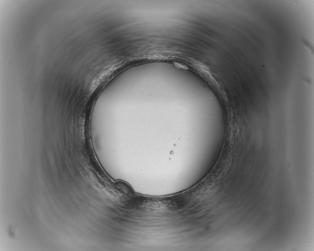 X0000099520299200806051217