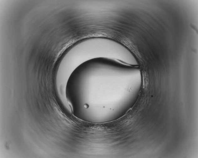 X0000099520300200806051217