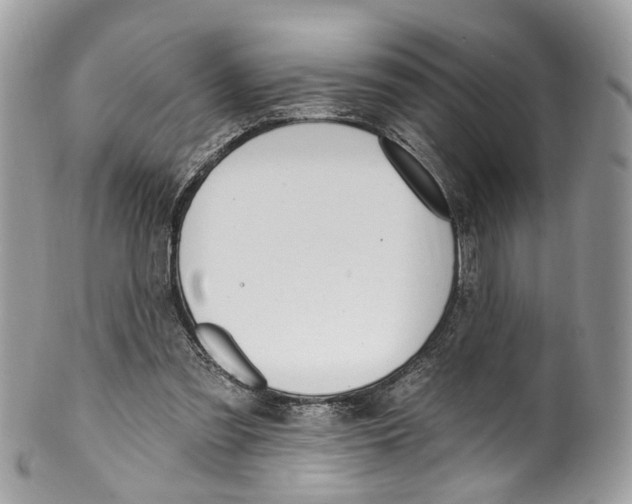 X0000099520301200806051217