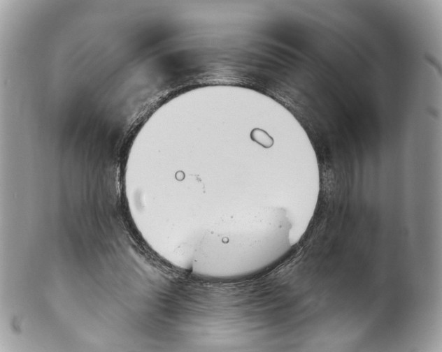 X0000099520302200806051217