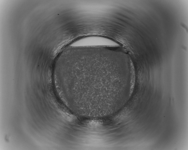 X0000099520303200806051217