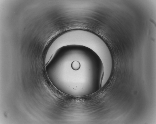 X0000099520304200806051217