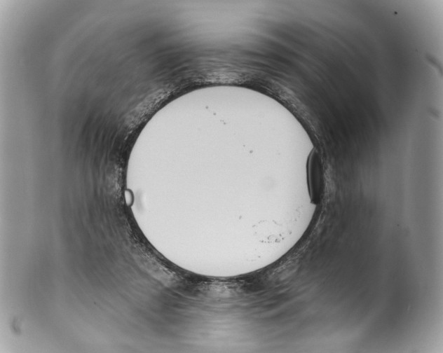 X0000099520305200806051217