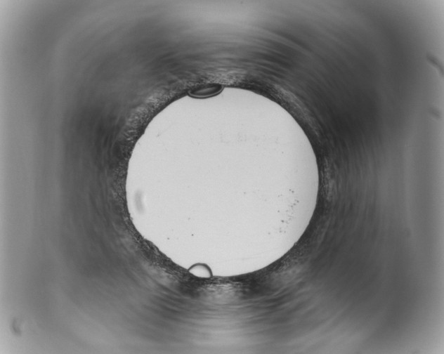 X0000099520307200806051217