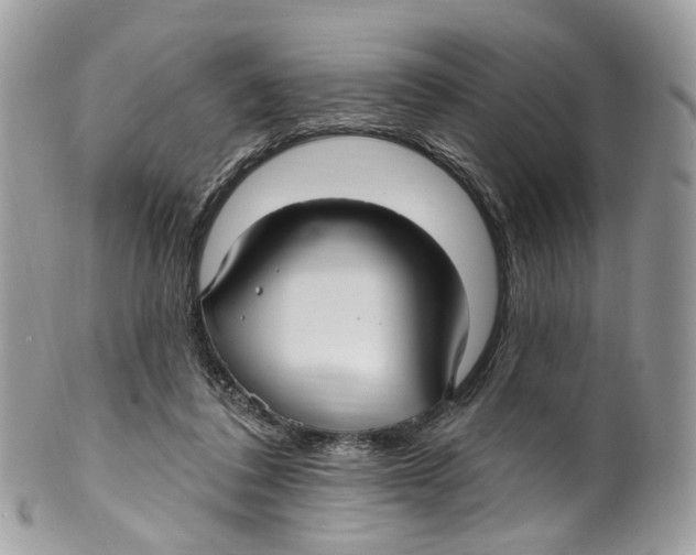 X0000099520308200806051217