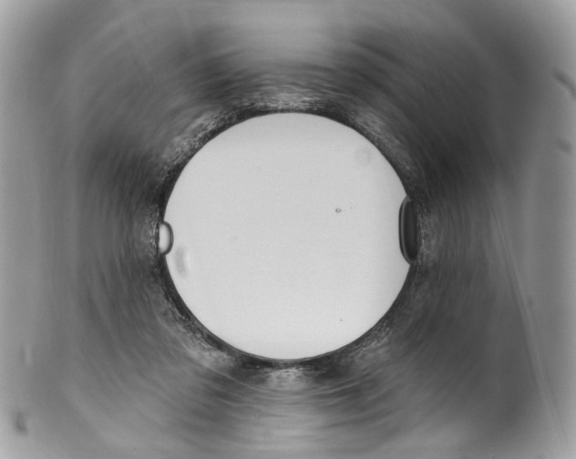 X0000099520309200806051217