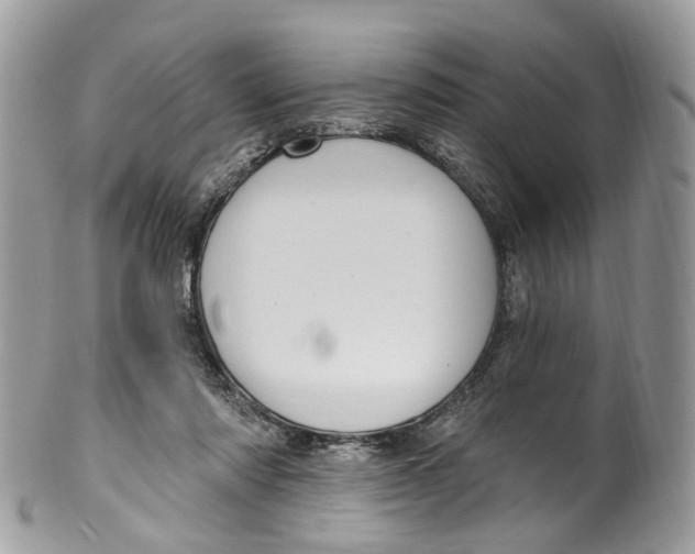 X0000099520310200806051217