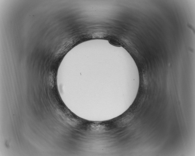 X0000099520311200806051217