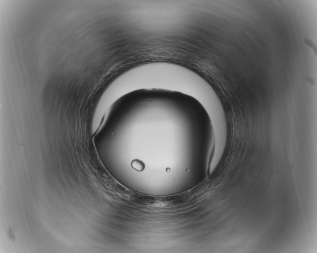 X0000099520312200806051217