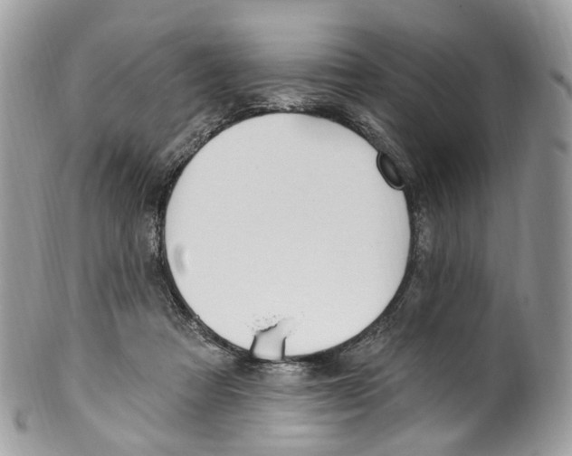 X0000099520313200806051217