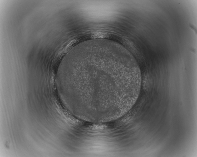 X0000099520314200806051217