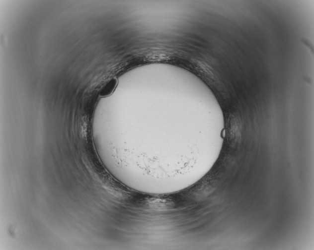 X0000099520315200806051217