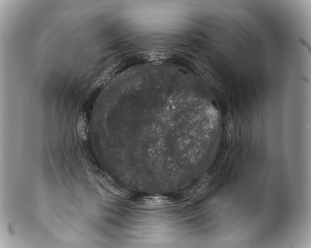 X0000099520316200806051217