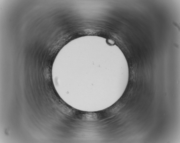 X0000099520317200806051217