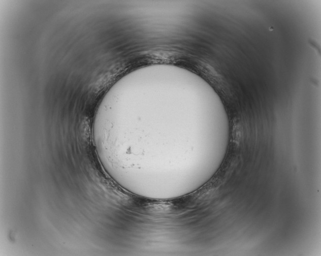 X0000099520318200806051217