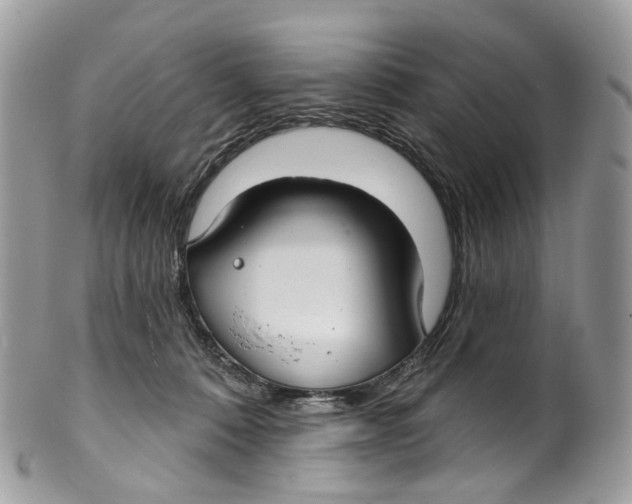 X0000099520320200806051217