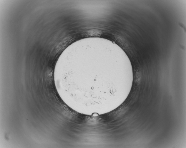 X0000099520321200806051217