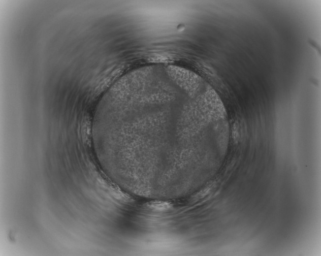 X0000099520322200806051217