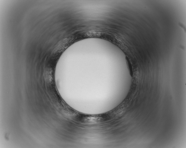 X0000099520323200806051217