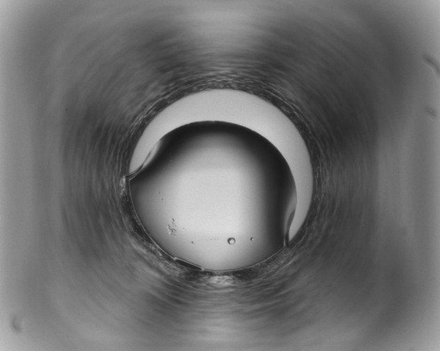 X0000099520324200806051217