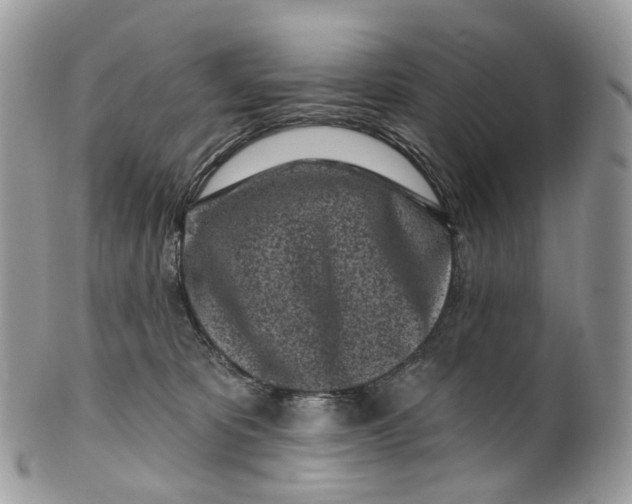 X0000099520325200806051217