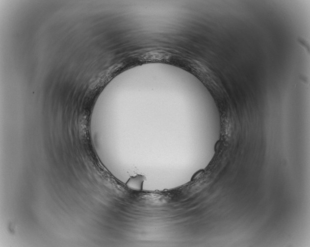 X0000099520326200806051217