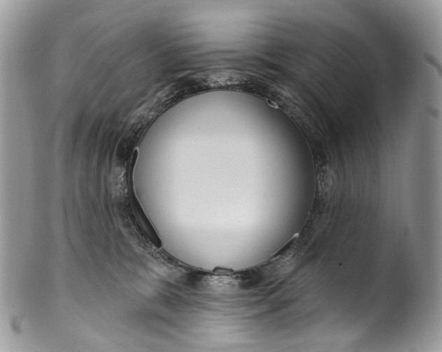 X0000099520327200806051217