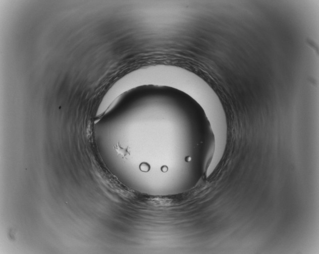 X0000099520328200806051217