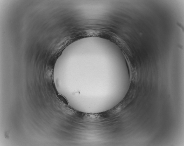 X0000099520329200806051217